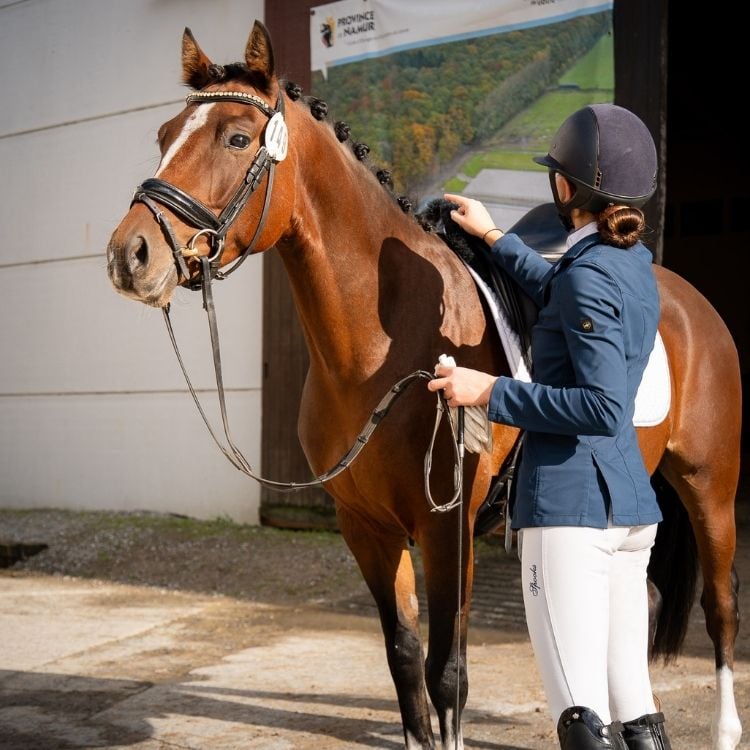 Cheval brun à côté de sa cavalière lors d'un concours.