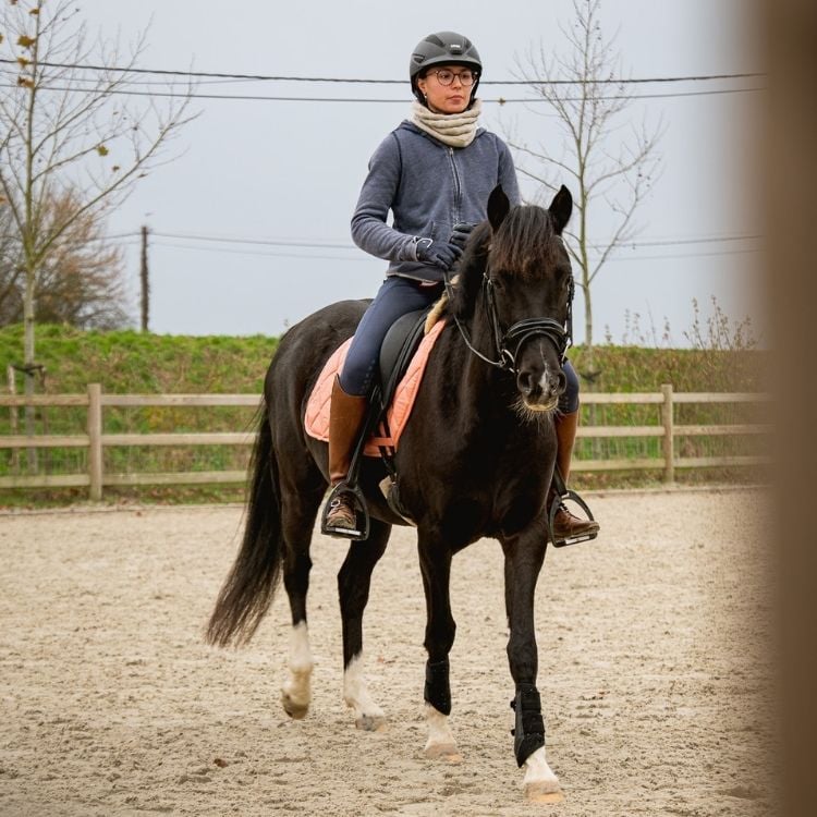 Cheval noir monté lors d'une séance de travail aux Écuries de Beauregard.