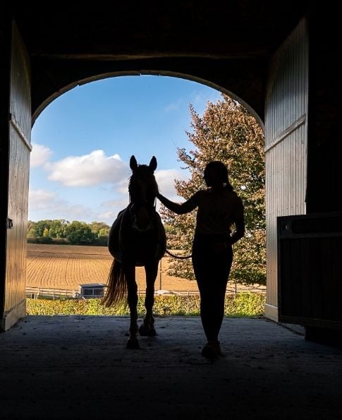 Accueil Silhouette d'une cavalière sortant un cheval de l'écurie aux Écuries de Beauregard à Wanze.